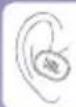 JBL Tune 570BT - FACTORY RESET - 1