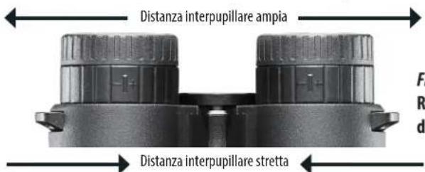 BUSHNELL Fusion X 10x42 - REGOLAZIONE DELLA DISTANZA INTERPUPILLARE (IPD, INTERPUPILLARY DISTANCE) - 1