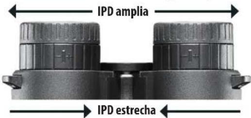 BUSHNELL Fusion X 10x42 - AJUSTE DE LA IPD (DISTANCIA PUPILAR) - 1