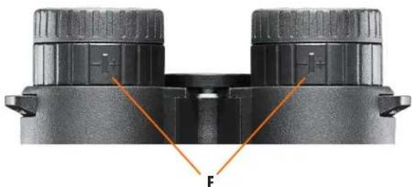 BUSHNELL Fusion X 10x42 - 1