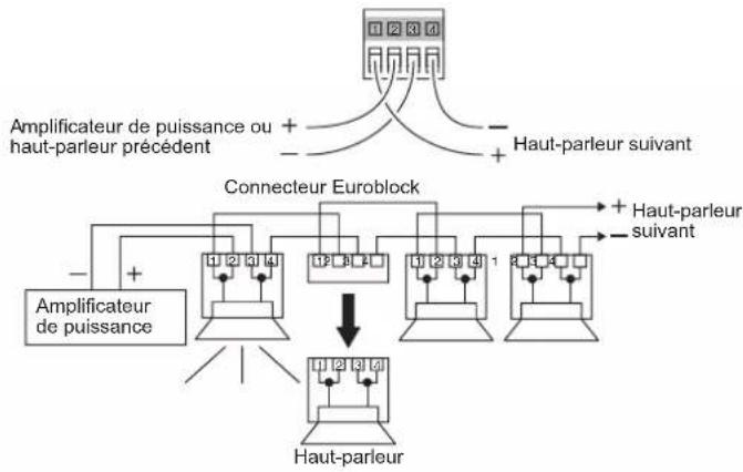 PIONEER CM-C54T - Connexion en boucle - 1