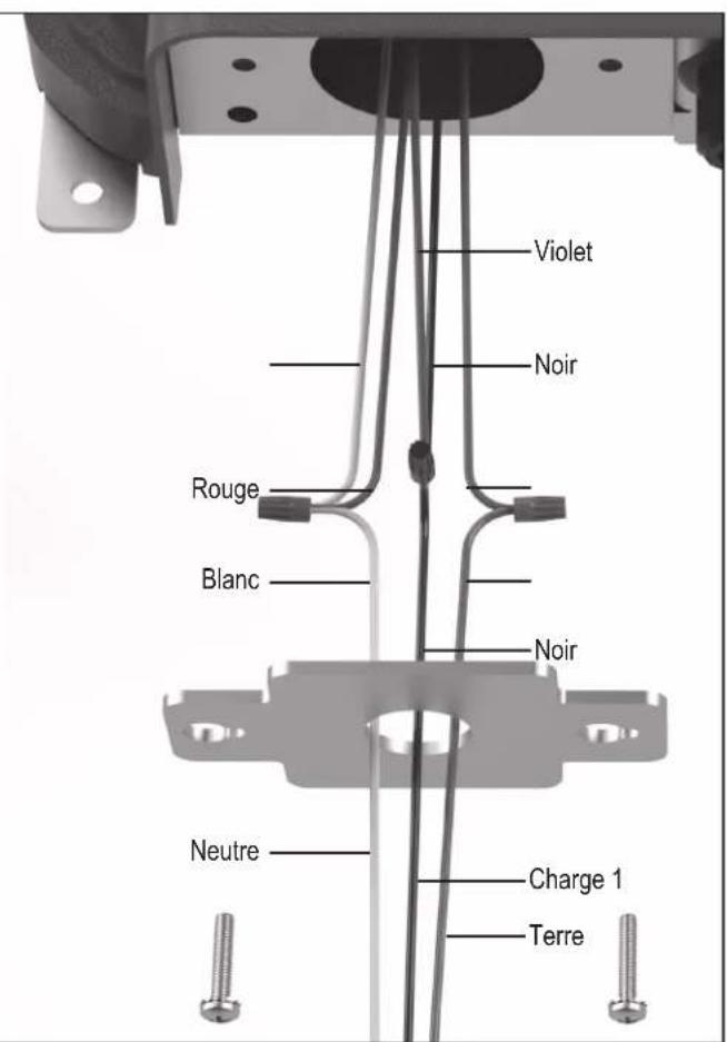 Jandy TruClear - AVERTISSEMENT - 2
