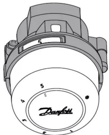 Danfetti