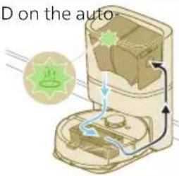 D on the auto-