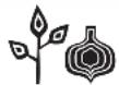 BOSCH MultiTalent 3 MCM3101B - Explanation of the symbols on the appliance or accessory - 4