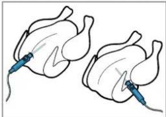 BOSCH HBG7784B1 - ⚠ AVERTISSEMENT – Risque de blessure ! - 2