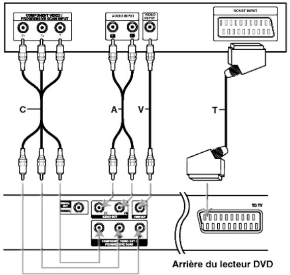 COMPONENT VIDEO / PROCESSED SCAM INPUT AUDIO RIPST VIDEO RIPST SCART RIPST C A V T 10 TV ARrière du lecteur DVD