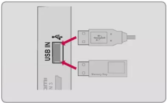 LG 47LD452B - Connexion USB - 1