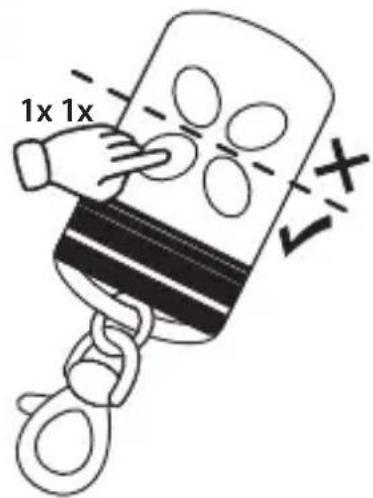 1x 1x