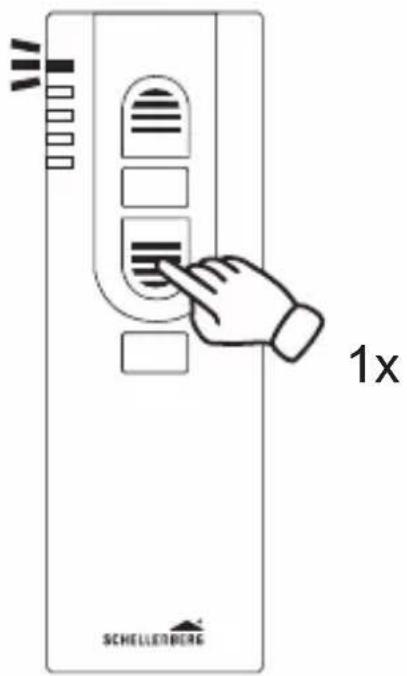 1x SCHELLERBERG
