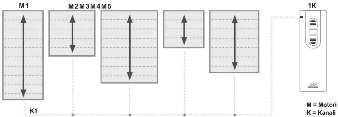 Schellenberg 21241 - SQARIMI I BUTONAVE - 2