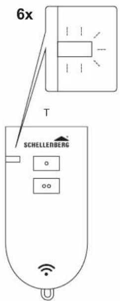6x T SCHELLENBERG