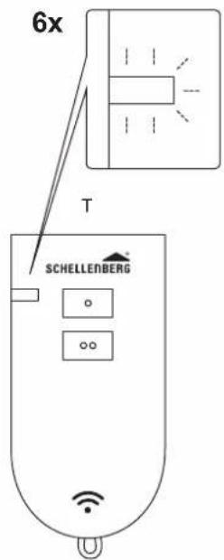 6x T SCHELLENBERG