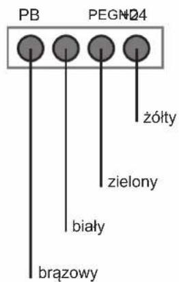 PB PEGN04 żółty zielony biały brązowy