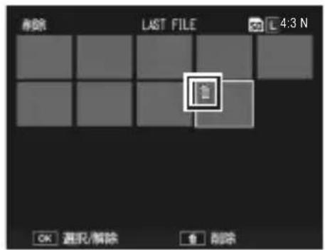 PENTAX GXR - 削除するファイルを1つずつ指定する場合 - 2