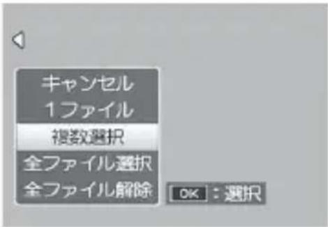 PENTAX GXR - 個別に指定する場合 - 1