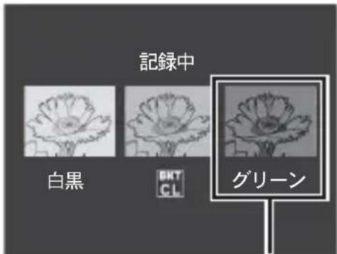 PENTAX GXR - 記録される白黒 (TE) の画像について - 1