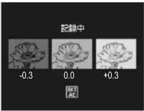 PENTAX GXR - 露出値を変化させて連続撮影する(AE-BKT:露出補正ブラケット) - 1