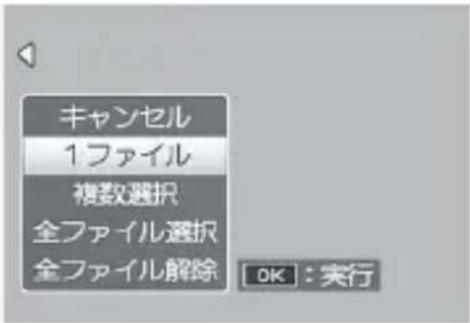 PENTAX GXR - [1 ファイル] が選択されていることを確認して、MENU/OK ボタンを押す - 1