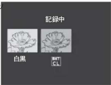 PENTAX GXR - 色を変えて連続撮影する(CL-BKT:カラーブラケット) - 2