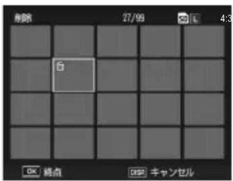 PENTAX GXR - 削除する範囲を指定する場合 - 1
