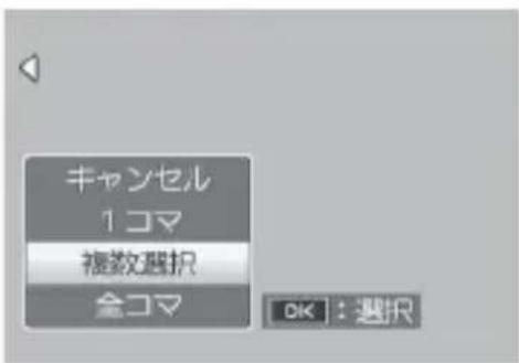 PENTAX GXR - 複数コマの範囲を指定する場合 - 1