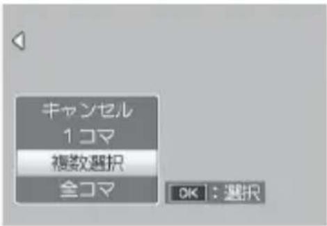 PENTAX GXR - 複数コマを個別に指定する場合 - 1