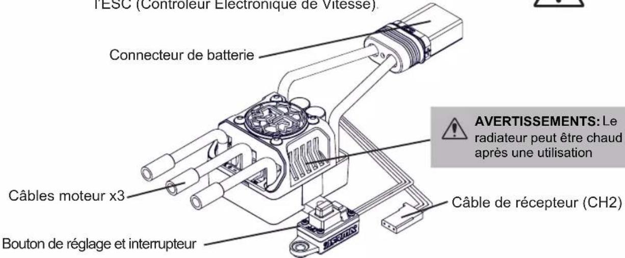 TESC (Controleur Electronique de Vitesse) Connecteur de batterie Câbles moteur x3 Bouton de réglage et interrupteur Câble de récepteur (CH2) AVERTISSEMENTS: Le radiateur peut être chaud après une utilisation