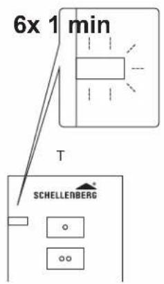 6x 1 min T SCHELLENBERG