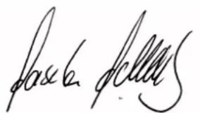 Schellenberg TWIN 300 - DECLARATIE DE CONFORMITATE CE - 1