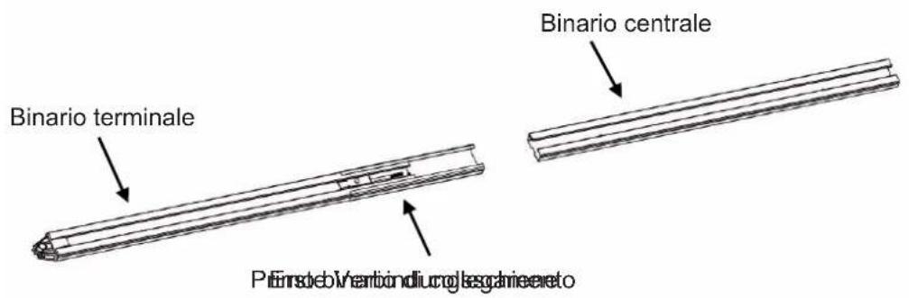 Binario terminale Binario centrale Pfeiride Varnioidicog lascaneereto