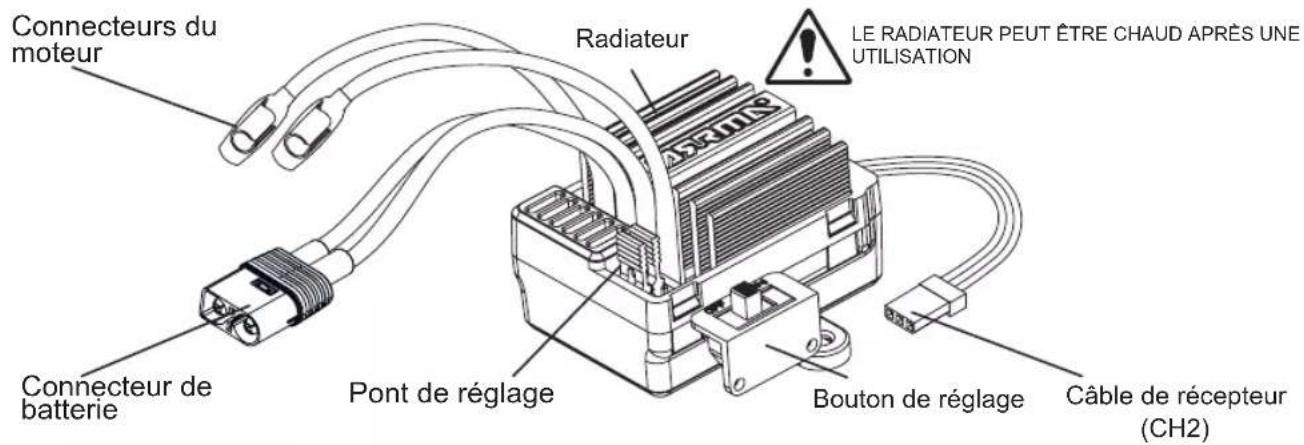 Connecteurs du moteur Connecteur de batterie Pont de réglage Radiateur LE RADIATEUR PEUT ÊTRE CHAUD APRÈS UNE UTILISATION Bouton de réglage Câble de récepteur (CH2)
