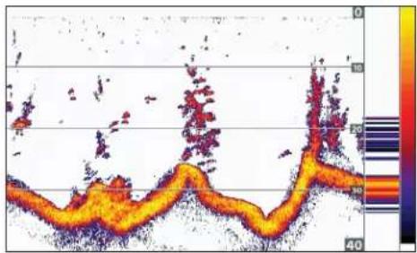 HUMMINBIRD HELIX 7 CHIRP DI GPS G2N - Afficher une vue de sonar - 1