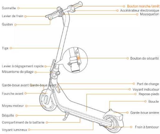 SEGWAY Ninebot eKickscooter C2 - ① Diagramme - 2