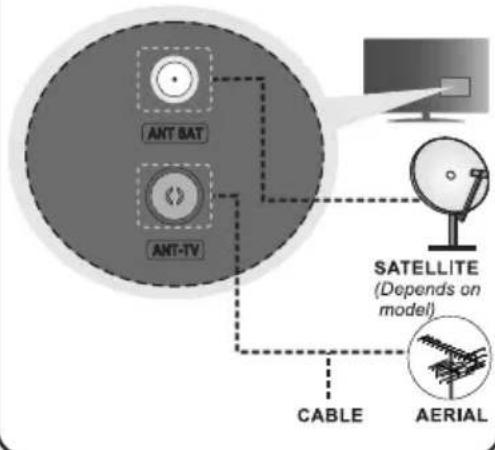 AIWA 43QS8503UHD - Connect the antenna to your TV - 1