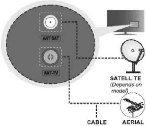AIWA 55QS8503UHD - Connect the antenna to your TV - 1