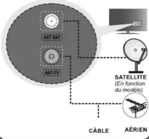 AIWA 55QS8593UHD - Branchez l'antenne à votre téléviseur - 1