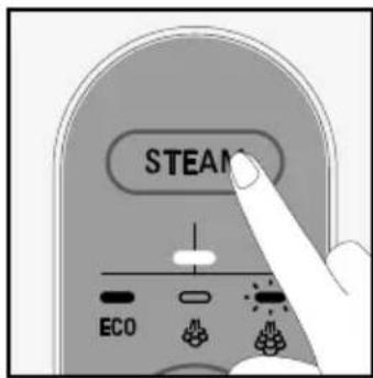 STEAM ECO