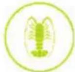 Nutrichef NCVK9112BWH - Que peut-on jeter ? - 8