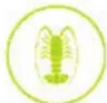 Nutrichef NCVK9112BWH - What Can be Disposed? - 8