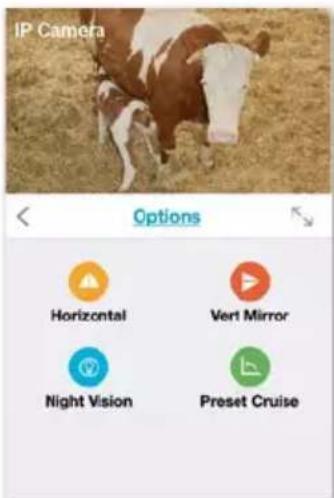 IP Camera Options Horizontal Vert Mirror Night Vision Preset Cruise