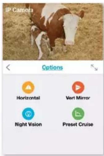 IP Camera Options Horizontal Vert Mirror Night Vision Preset Cruise