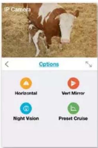 IP Camera Options Horizontal Vert Mirror Night Vision Preset Cruise