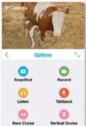 IP Camera Options SnapShot Record Listen Talkback Horz Cruise Vertical Cruise