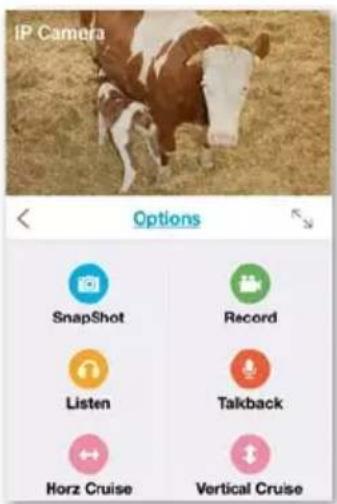 IP Camera Options SnapShot Record Listen Talkback Horz Cruise Vertical Cruise