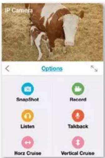 IP Camera Options SnapShot Record Listen Talkback Horz Cruise Vertical Cruise