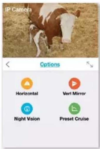 IP Camera Options Horizontal Vert Mirror Night Vision Preset Cruise