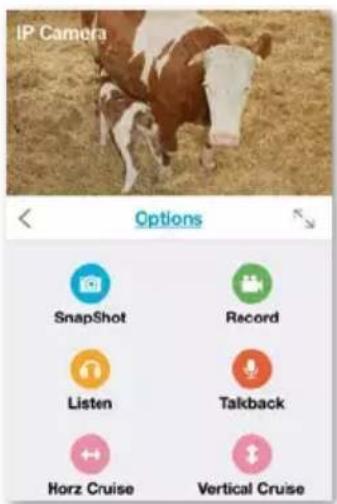IP Camera Options SnapShot Record Listen Talkback Horz Cruise Vertical Cruise