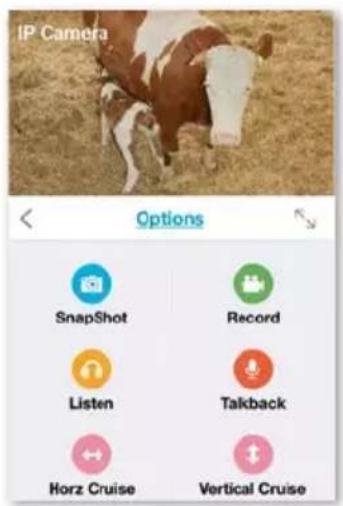 IP Camera Options SnapShot Record Listen Talkback Horz Cruise Vertical Cruise