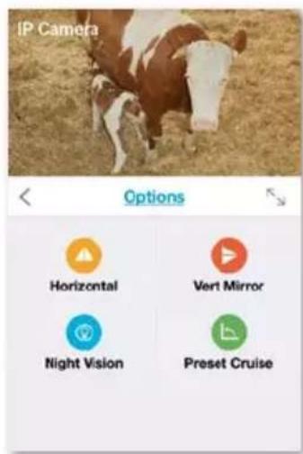 IP Camera Options Horizontal Vert Mirror Night Vision Preset Cruise